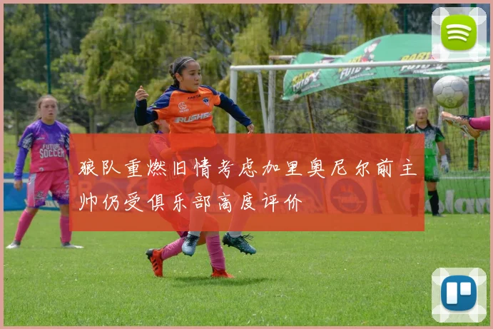 狼队重燃旧情考虑加里奥尼尔前主帅仍受俱乐部高度评价