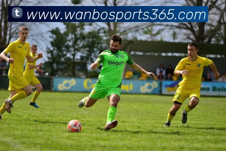 App Interface Preview