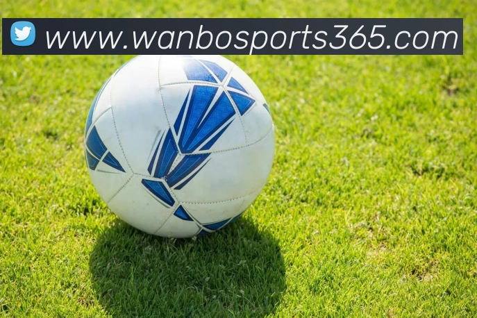 万博体育APP 封面图